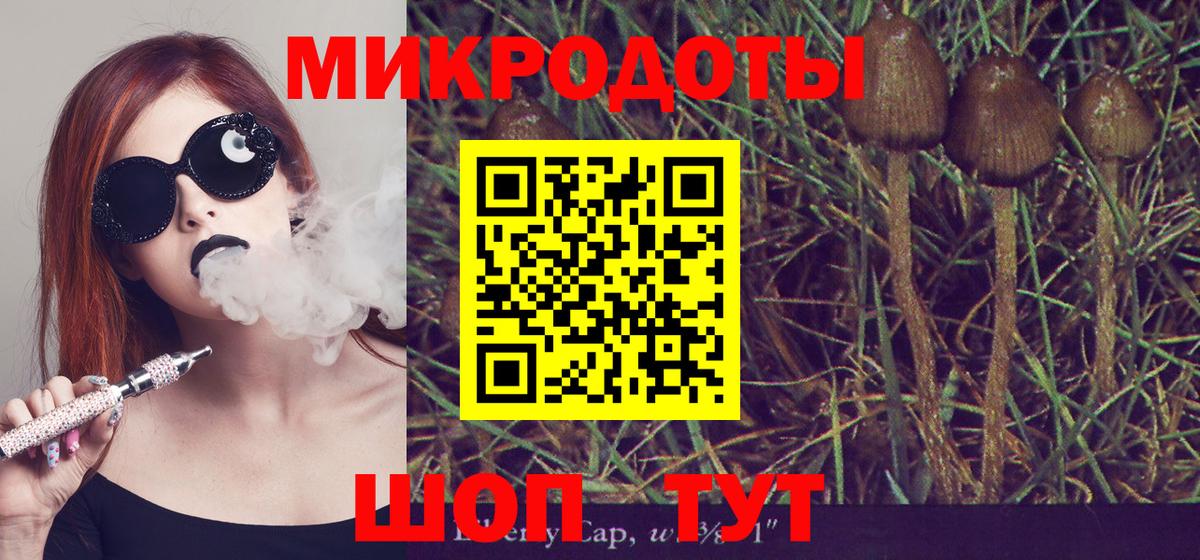 Псилоцибиновые грибы ЛСД Кохма