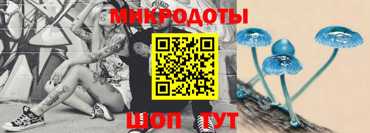 Галлюциногенные грибы прущие грибы  Вход с VPN  Кохма 